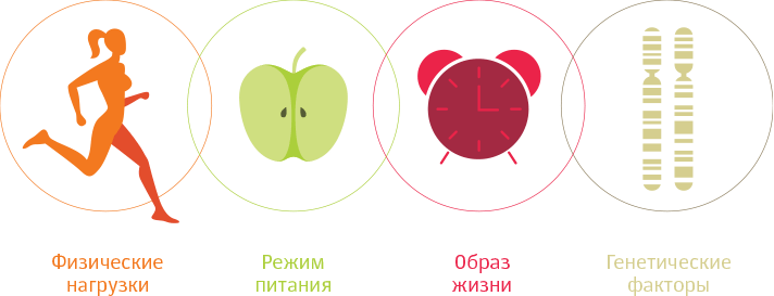 Получить генетический паспорт человека — ДНК профиль | Genotek