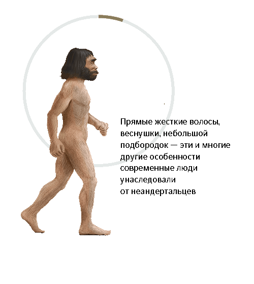 ДНК-тест «Происхождение». Узнай свое этническое происхождение | Genotek